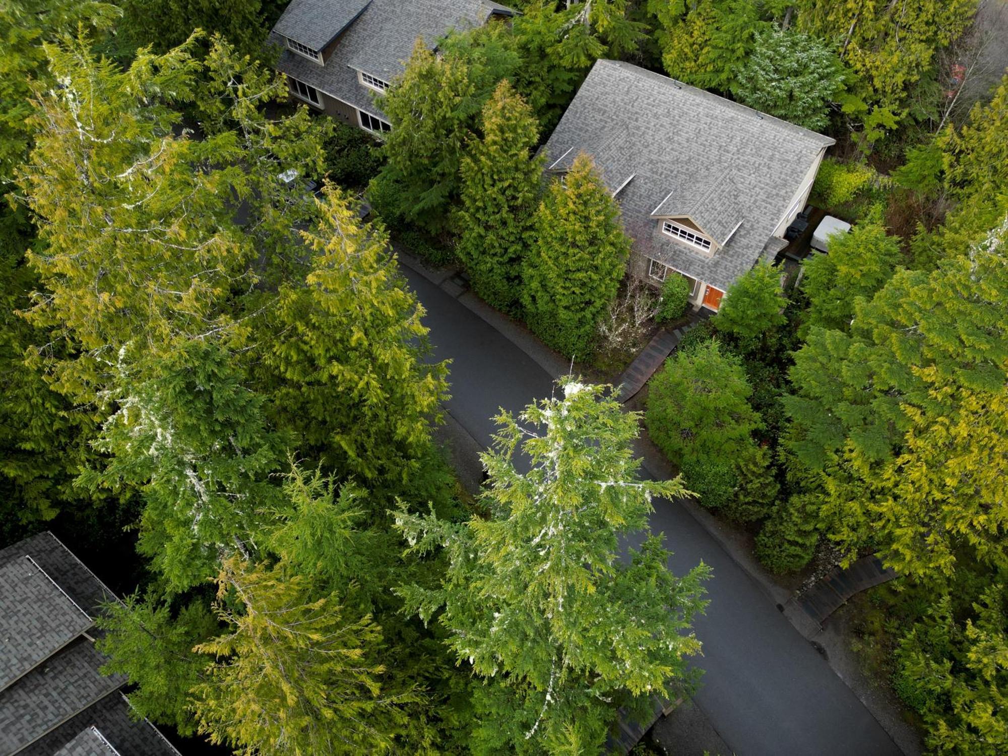 Long Beach Lodge Resort Тофино Экстерьер фото